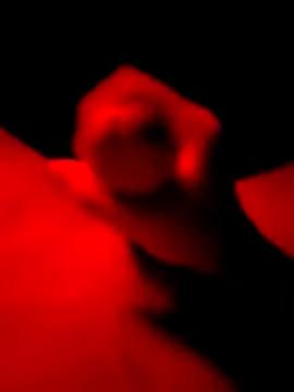 veniliaa (M twink) - Masterbation