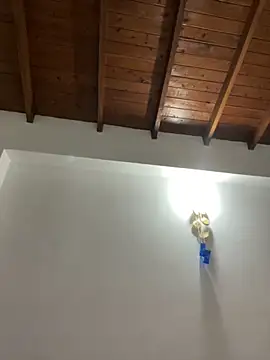 Preview of paulina-wells