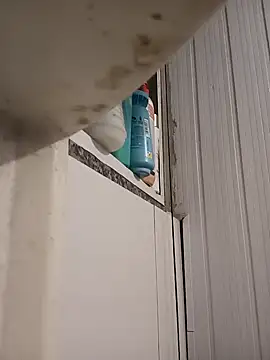 Preview of 1995eduardo