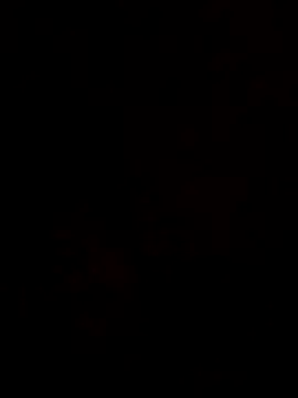 Gordin479 live cam screenshot male on Pornij – HD Porn & Live Cam Models