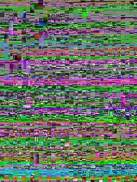 Webcam Model (Elie-3)  is live.Free join now!