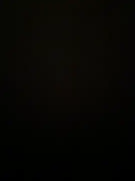 Preview of thebigbiengrosse