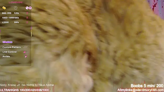 Silentmary's Stripchat show and profile