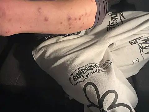 SPOTSCAMEL's Thumb Image