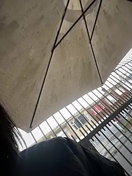 Preview of pamelajonsom_