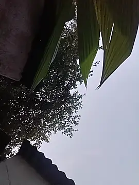 Webcam Model (reya743)  is live.Free join now!