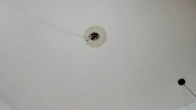 Preview of dayana__ospina