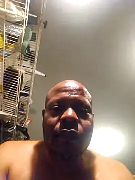 personalityalwayswins2