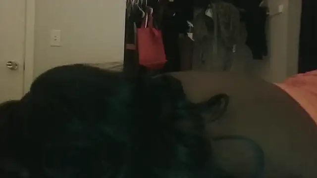 Preview of cocomamii1