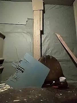 wero4200 (M young) - xxxXCum