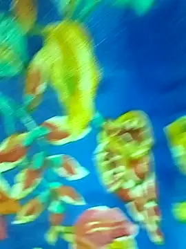 Webcam Model (Nikitha_telugu)  is live.Free join now!