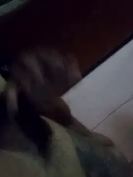 Preview of briangalleta