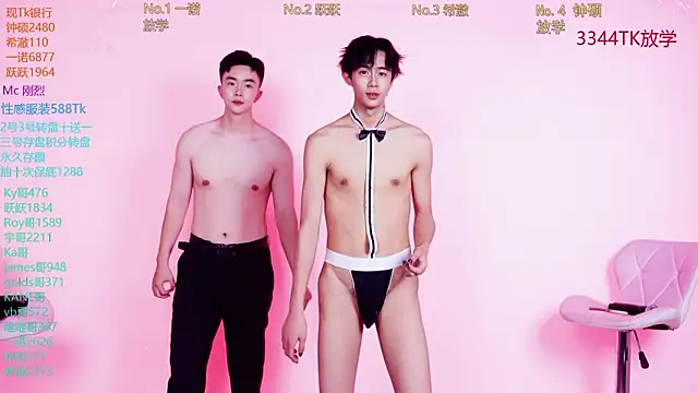 Boygayhouse Live Webcam on Stripchat