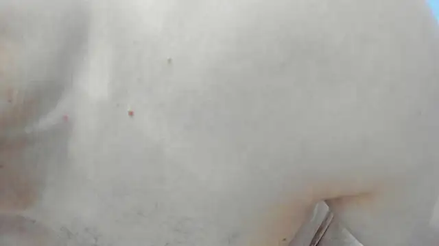 alex_brown_ (M young) - cum show