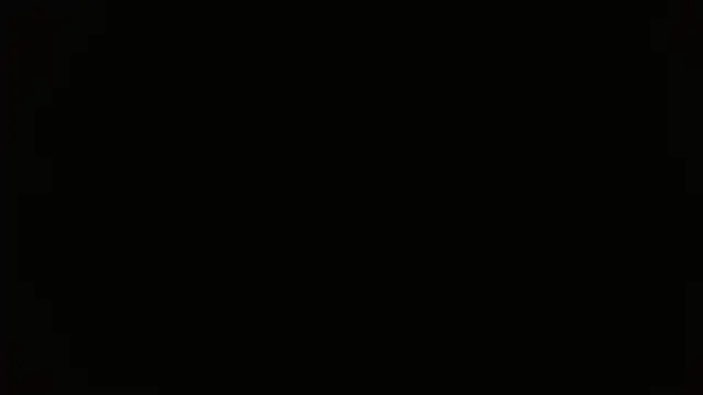 Preview of yera_carey