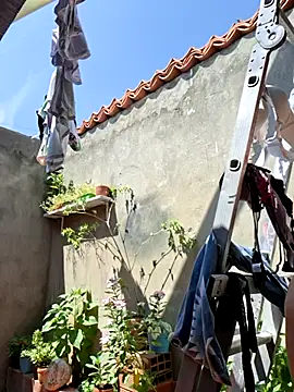 room_24funn from StripChat is Freechat