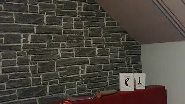 Live gay webcam of vers92_seb