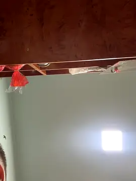 kingadonisss (M twink) - JERK COCK