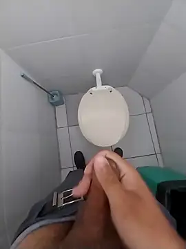 Novinhoamacoroas1002