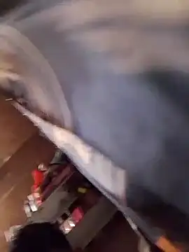 Preview of aispuro8505