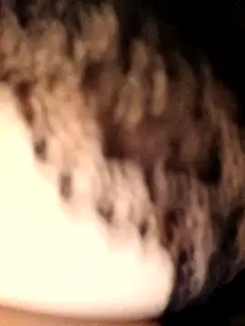 bellydancer1 - BellyDancer1's free webcam - UK Sex Cams