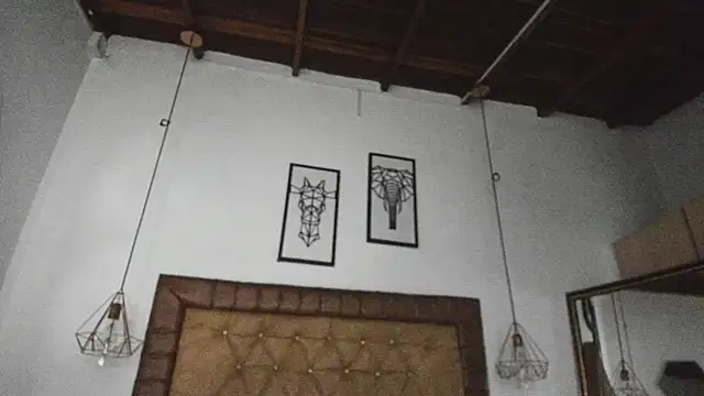 hannarose1208 - Hannarose1208's free webcam - UK Sex Cams