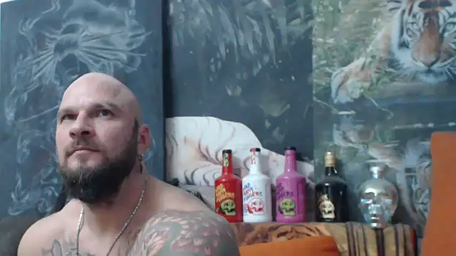 viking_30 (Ask my age) - #balds #bears #big-cocks #bisexuals #cam2cam #daddies #dirty-talk #gagging #hairy #hd #humiliation #masturbation #middle-priced-privates #muscular #recordable-privates #recordable-publics #romanian #sexting #small-audience #smoking #striptease #uncut #white