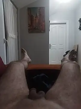 aykut1990 (Ask my age) - #black-hair #cam2cam #cheap-privates #cock-rating #daddies #ejaculation #hd #masturbation #medium #mobile #new #small-audience #straight #top #trimmed #white