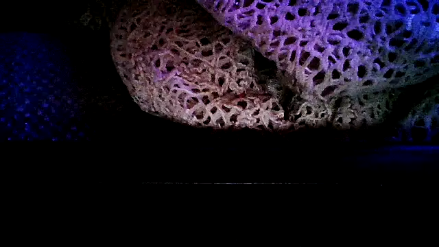 Juicyapplecandy live cam screenshot female on Home.Pink — Cozy Live Cams & Chat