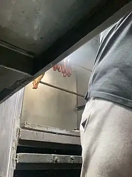 Preview of dylams_maja