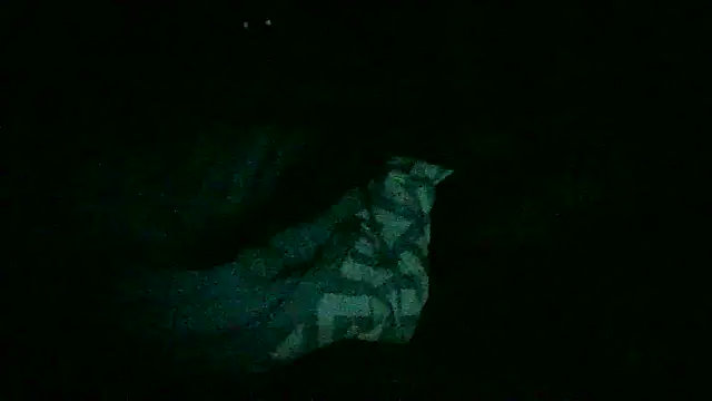 3rotic_3xotic_fir3 (M young) - MINAJ WITH YOUR TOKENS