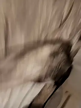 Preview of idriss1986