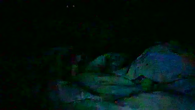 Preview of 3rotic_3xotic_fir3