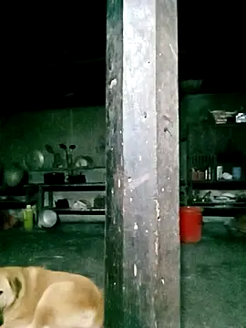 Preview of ngan-cute