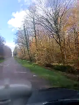 dam70 - Dam70's free webcam - UK Sex Cams