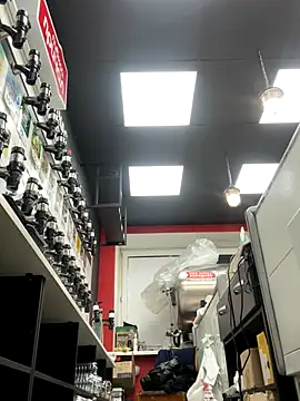 Preview of alishaofthorns