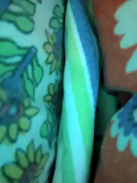 butterflydoll55sexolina webcam stripchat model stream image