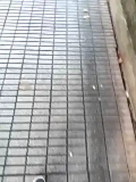 Preview of garibaldi1974