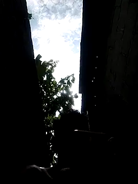 _andytop - _andytop's free webcam - UK Sex Cams