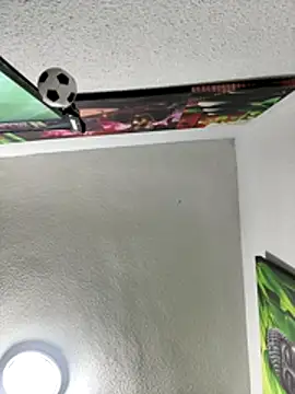 Preview of aavrdvh33