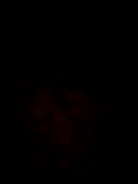 Finallytty_womandportypat