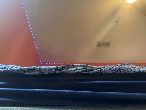 Preview of bearchubby300