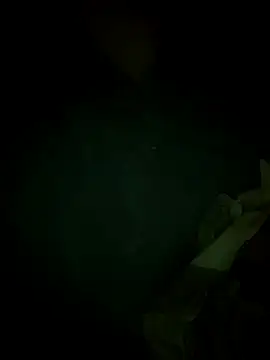 Preview of morbosnif