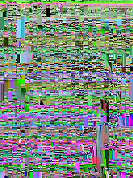 Preview of ania_rose