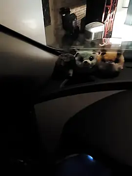 Webcam Model (Butterfly50286)  is live.Free join now!