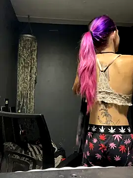 Preview of stoneycam