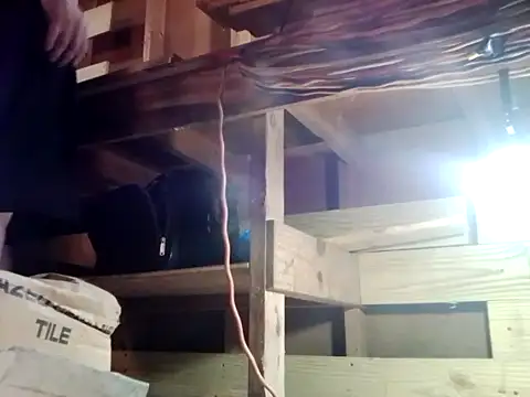 Preview of buffshagswell