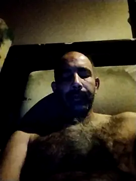 Preview of salimbasha