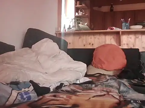 Preview of alousek121