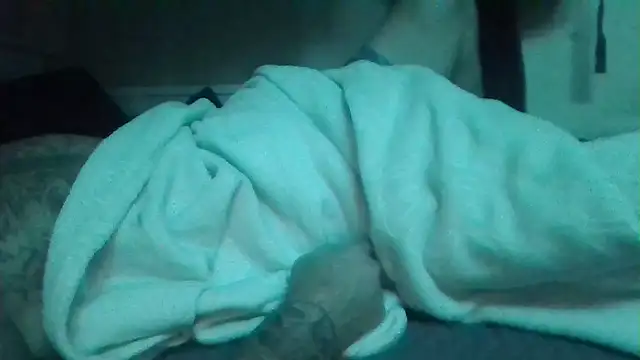 Preview of jaysickness